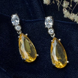 Solenne Plated Drop Earrings