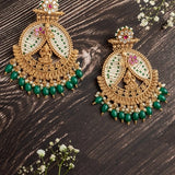 Raunika Danglers Earrings