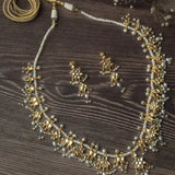 Rajvani Kundan Necklace Set
