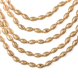 Isvaraah Gold Plated Womens Temple Long Necklace Set with Pair of Earrings (Freesize)