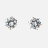 Zia Silver Plated Womens Zircon Pair of Earrings (Freesize)