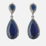 Silver Plated Blue Womens Pair of Dangle Earrings