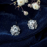 Silver Plated Womens Pair of Stud Earrings