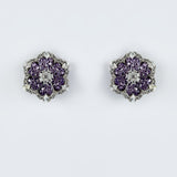Florence Silver Plated Purple Womens Zircon Pair of Stud Earrings (Freesize)