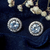 Silver Plated Womens Zircon Stud Pair of Earrings